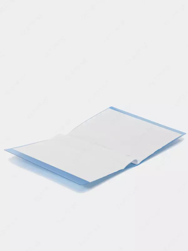 Папка для документов Deli "Aurora" с 20 прозрачными вкладышами (Арт.-02432-EB) Синяя