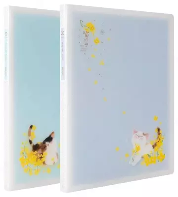 Папка для документов "Deli" с 30 прозрачными вкладышами (Арт.- 72607) Ассортимент