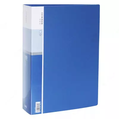 Папка для документов "Deli" с 40 прозрачными вкладышами (Арт.- 5254) Синяя