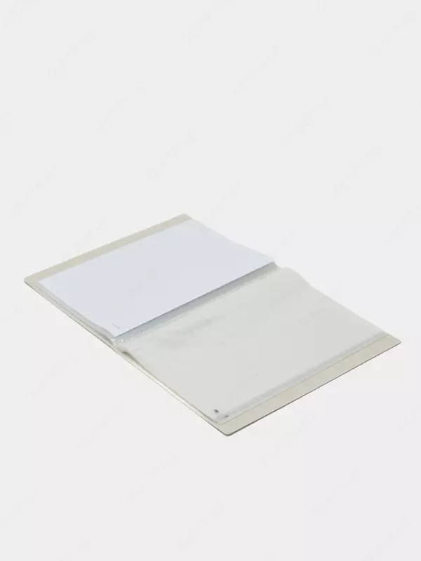 Папка для документов Deli "Nusign 191" с 40 прозрачными вкладышами (Арт.- 191-NS-wt) Белая