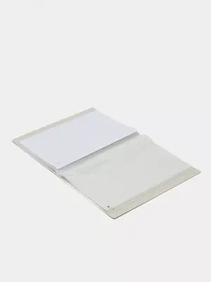 Папка для документов Deli "Nusign 191" с 40 прозрачными вкладышами (Арт.- 191-NS-wt) Белая