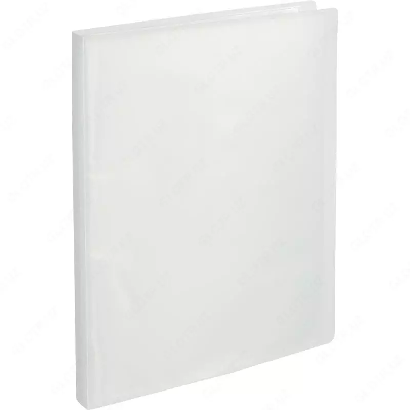 Папка для документов "Deli" с 40 прозрачными вкладышами (Арт.- 5164) Прозрачная