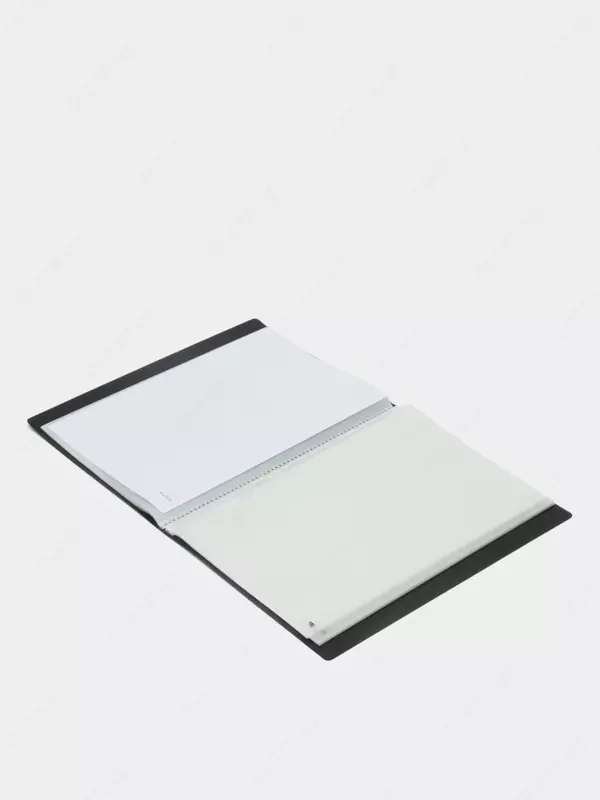 Папка для документов Deli "Nusign 191" с 40 прозрачными вкладышами (Арт.- 191-NS-bl) Черная