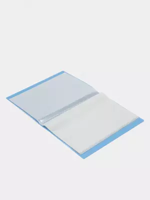 Папка для документов Deli "Aurora" с 40 прозрачными вкладышами (Арт.-02632-EB) Синяя