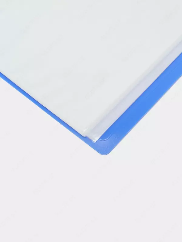 Папка для документов "Deli Eco" с 40 прозрачными вкладышами (Арт.- 38147) Ассортимент