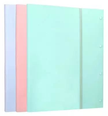 40 ta shaffof qoʻshimchali “Deli Macaron” hujjat papkasi (m.-02912-EB) Assortiment