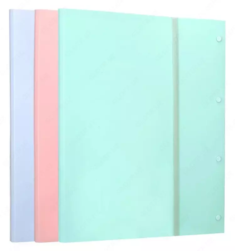 Папка для документов "Deli Macaron" с 40 прозрачными вкладышами (Арт.- 02912-EB) Ассортимент