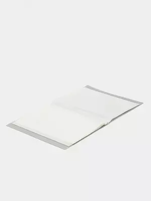 Папка для документов "Deli" с 60 прозрачными вкладышами (Арт.- 5160) Прозрачная