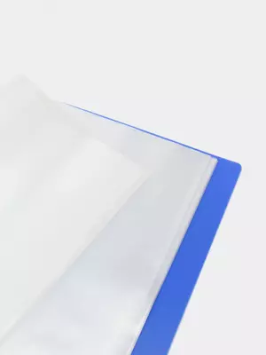 Папка для документов "Deli" с 60 прозрачными вкладышами (Арт.- 5005) Синяя