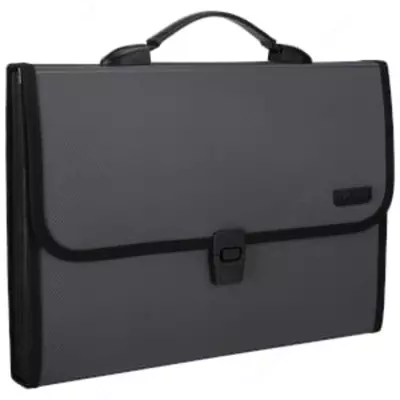 Папка- портфель "Deli" 12 отделений, застежка замок (Арт.- 5556) Ассортимент