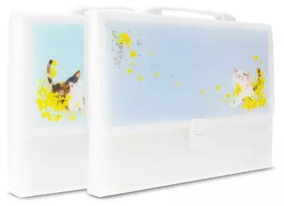 Папка-портфолио "Deli" 13 отделений, застежка замок (Арт.- 72579) Ассортимент