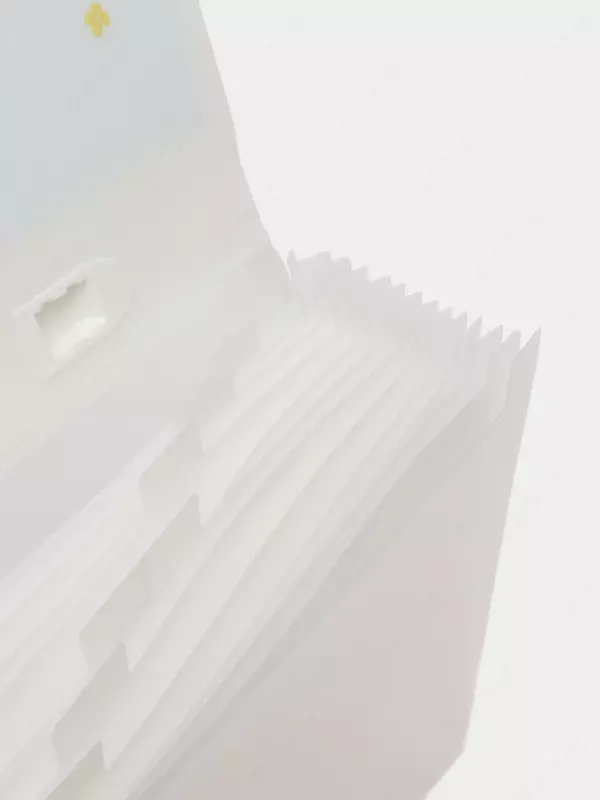 Папка-портфолио "Deli" 13 отделений, застежка замок (Арт.- 72579) Ассортимент