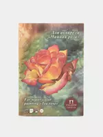 Akvarel uchun planshet Lilia Holding "Choy atirgul" (Art.- PLCHR-A4) Oq