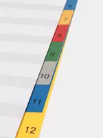 Plastik rang ajratgich "Deli" 1-12 kol. (- 5725-modda) Turli xil