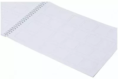 Скетчбук-тетрадь для каллиграфии и леттеринга Hatber "Искусство красивого письма" А4 (30 листов) Арт. - 22372