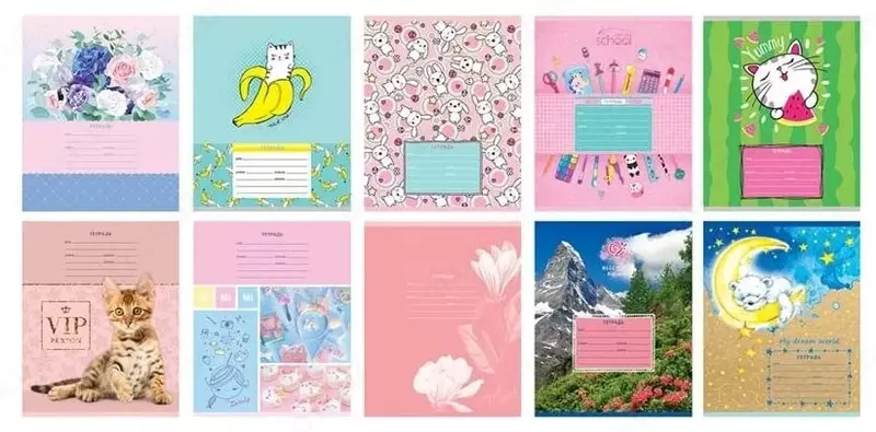 Школьная Тетрадь 12 листов BG "Mix 10. Для девочек" клетка (Арт. - Т5ск12_8526)