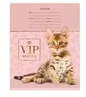 Школьная Тетрадь 12 листов BG "Mix 10. Для девочек" клетка (Арт. - Т5ск12_8526) - 3 000 сум