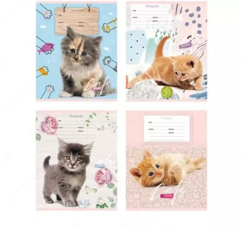 Maktab daftarchasi 12 varaq BG "Mushuk hikoyasi" qiya chiziq (Art. - T5sk12_7015) Assortiment