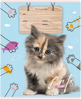 Maktab daftarchasi 12 varaq BG "Mushuk hikoyasi" qiya chiziq (Art. - T5sk12_7015) Assortiment