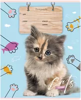 3 000 сум Школьная Тетрадь 12 листов BG "Cat story" косая линия (Арт. - Т5ск12_7015) Ассорти