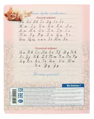 Maktab daftarchasi 12 varaq BG "Mushuk hikoyasi" qiya chiziq (Art. - T5sk12_7015) Assortiment