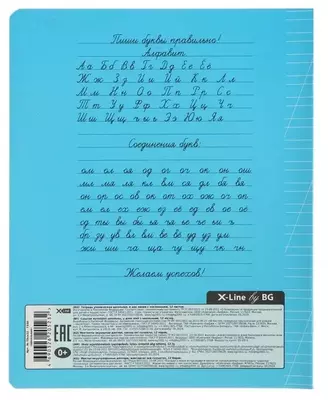 Тетрадь 12 листов BG "Школьная" косая линия (Арт. - Т5ск12_7330) Ассорти