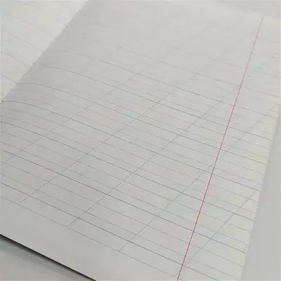 Daftar 12 varaq BG "Namunali" qiya chiziq (Art. - T5sk12_7314) Yashil