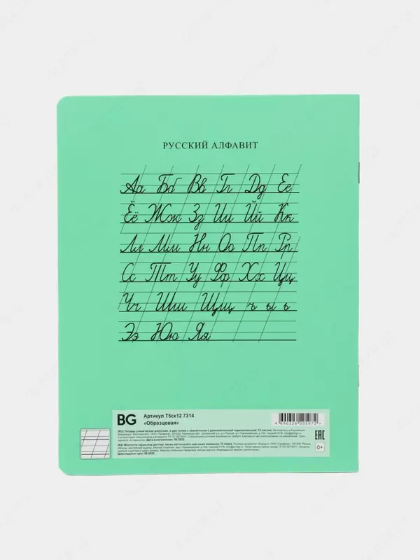 Daftar 12 varaq BG "Namunali" qiya chiziq (Art. - T5sk12_7314) Yashil