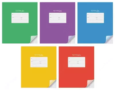 Maktab daftarchasi 12 varaqli ArtSpace "Bir rangli" katta hujayra (Art. - T12kk_17911) Turli xil