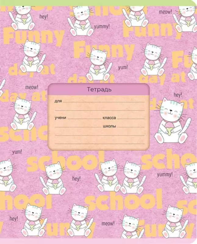 Maktab daftarchasi 12 varaq BG "Salom" katta qafas (Art. - T5sk12_9809) Assortiment