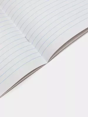 Maktab daftarchasi 12 varaqli BG "Atirgul go'zalligi" liniyasi (Art. - T5sk12_bl_9489) Assortiment