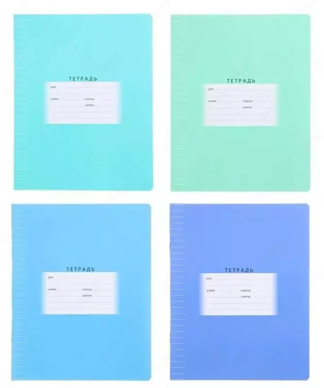 Daftar 12 varaq BG "Maktab" tor chiziq (Art. - T5sk12_7335) Assortiment