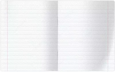 Daftar 12 varaq BG "Maktab" tez-tez qiya chiziq (Art. - T5sk12_7332) Assortiment