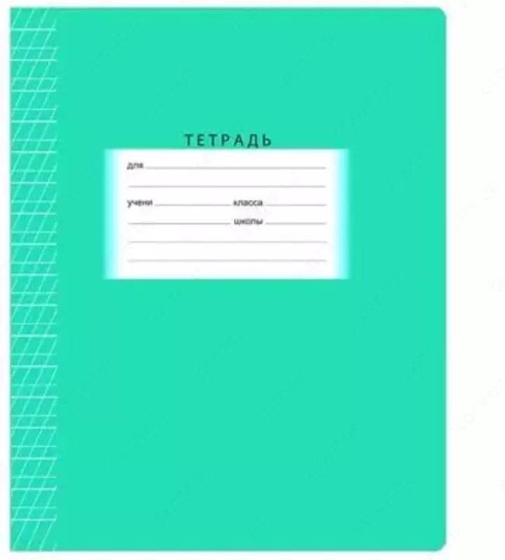 Daftar 12 varaq BG "Maktab" tez-tez qiya chiziq (Art. - T5sk12_7332) Assortiment