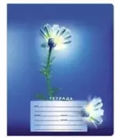 3 700 сум Школьная Тетрадь 18 листов BG "Super Mix-20" клетка (Арт. - Т5ск18_8539) Ассорти