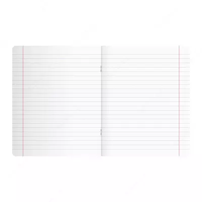 Школьная Тетрадь 18 листов BG "Отличная" линия (Арт. - Т5ск18_7320) Ассорти