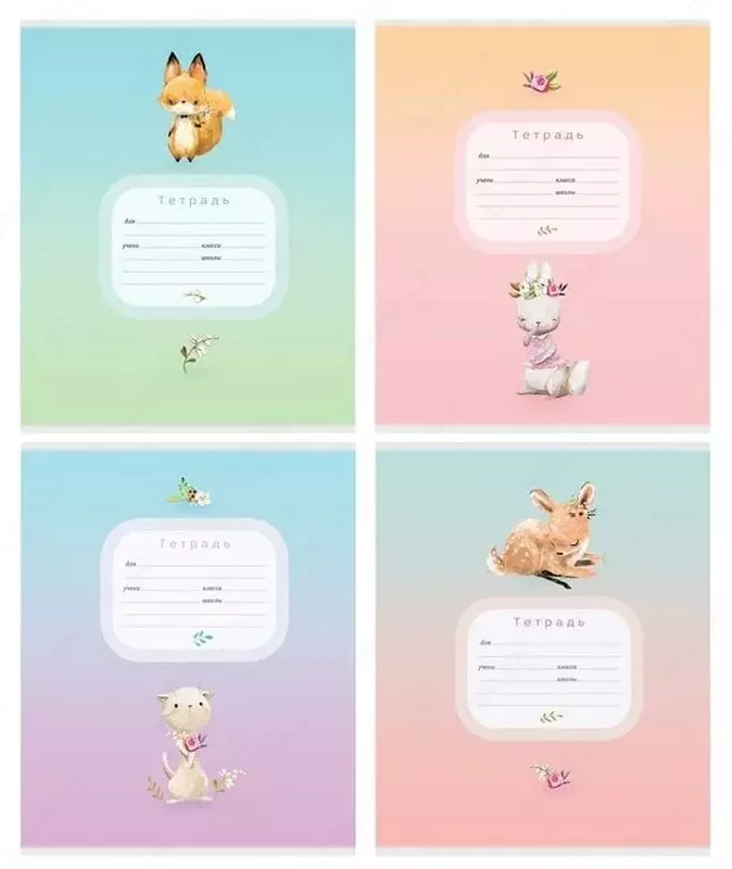 Maktab daftarchasi 18 varaq BG "Puffies" liniyasi (Art. - T5sk18_8163) Assortiment