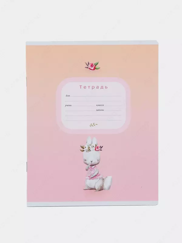 Maktab daftarchasi 18 varaq BG "Puffies" liniyasi (Art. - T5sk18_8163) Assortiment