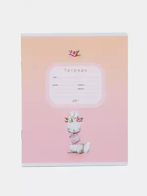 Maktab daftarchasi 18 varaq BG "Puffies" liniyasi (Art. - T5sk18_8163) Assortiment