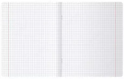 Тетрадь 24 листа BG "Школьная" клетка (Арт. - Т5ск24_7340) Ассорти