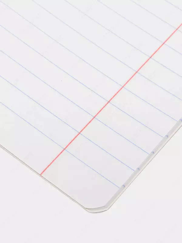 Школьная Тетрадь 24 листа BG "Отличная" линия (Арт. - Т5ск24_7324) Ассорти