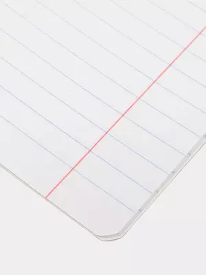 Школьная Тетрадь 24 листа BG "Отличная" линия (Арт. - Т5ск24_7324) Ассорти