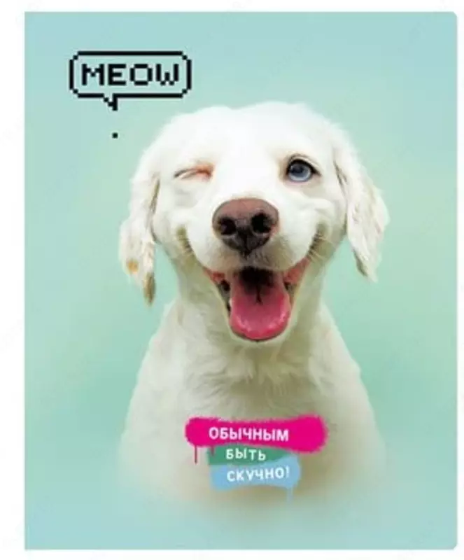 Maktab daftarchasi 48 varaqli BG "Super Mix-20" yacheyka (Art. - T5sk48_10406) Assortiment