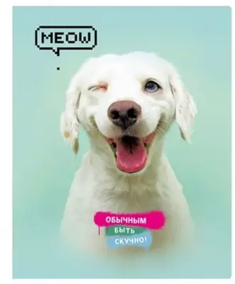 Школьная Тетрадь 48 листов BG "Super Mix-20" клетка (Арт. - Т5ск48_10406) Ассорти