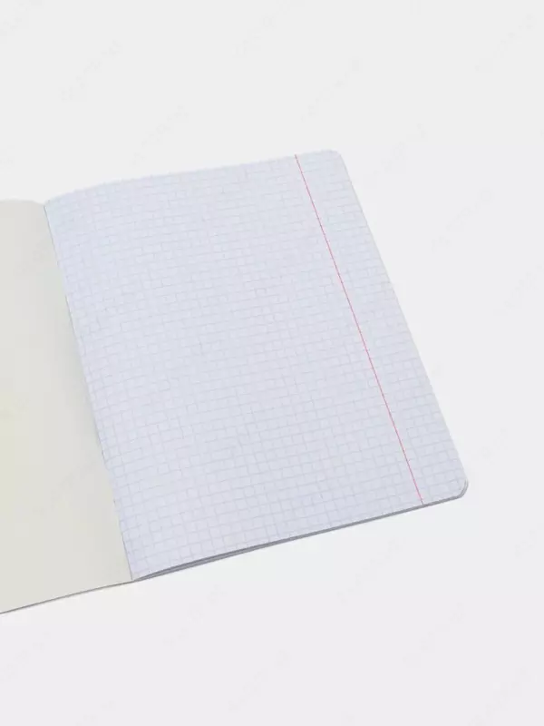 Maktab daftarchasi 48 varaqli BG "Sevib qolish" katakchasi (Art. - T5sk48_lm_9825) Assortiment