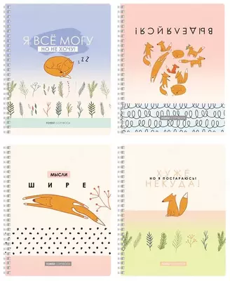 Тетрадь 48 листов BG "Выделяйся" клетка (Арт. - Т5гр48_10043) Ассорти