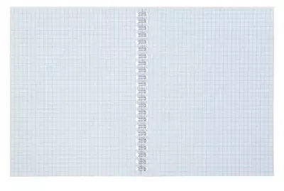 Тетрадь 48 листов BG "Розовое чудо" клетка (Арт. - Т5гр48_тгф_8445) Ассорти