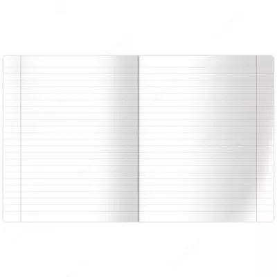 Тетрадь 48 листов BG "Mint Gold" линия (Арт. - Т5ск48_тгф_8438) Ассорти