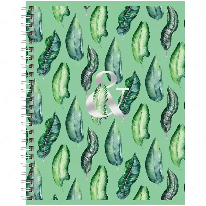 Тетрадь 48 листов BG "Mint Gold" линия (Арт. - Т5ск48_тгф_8438) Ассорти