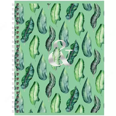 Тетрадь 48 листов BG "Mint Gold" линия (Арт. - Т5ск48_тгф_8438) Ассорти